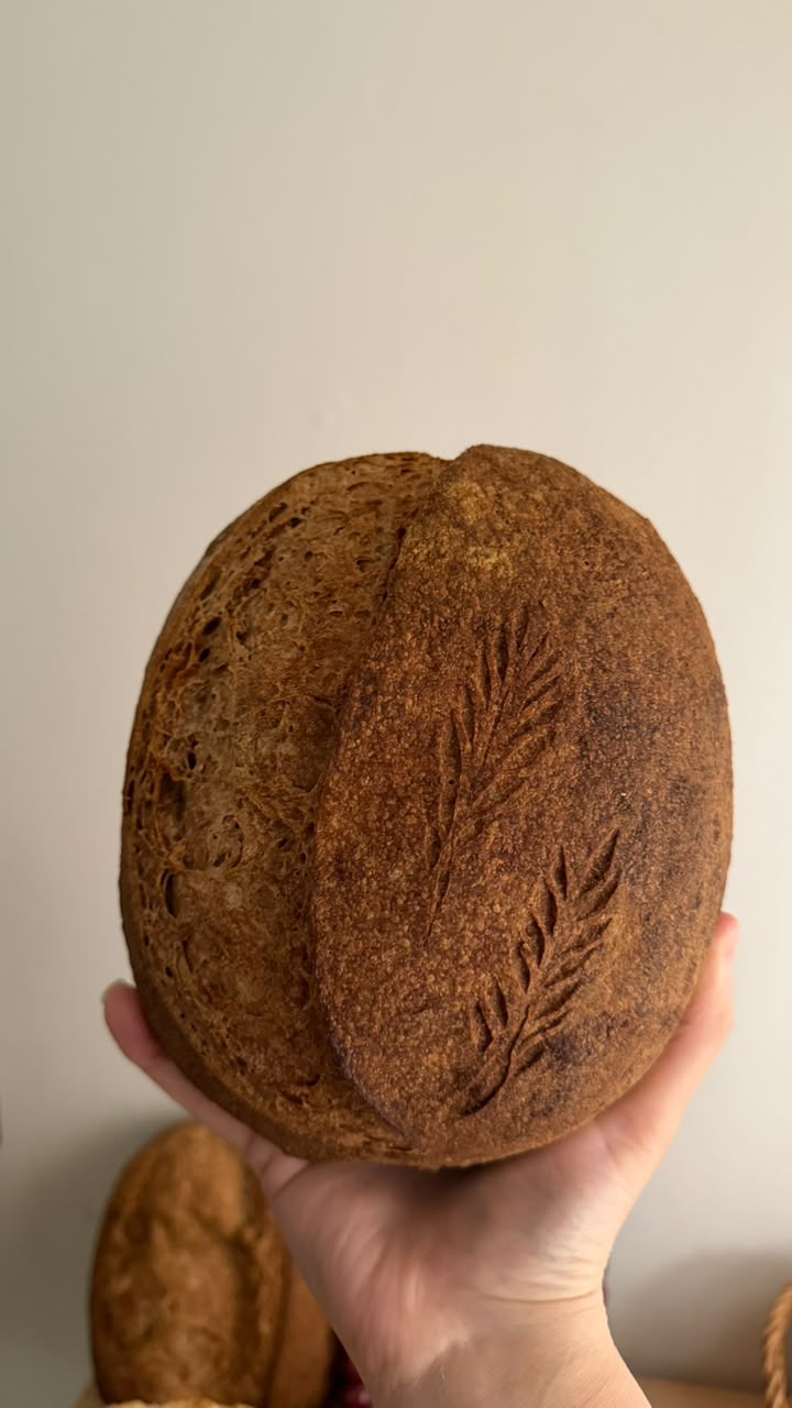 ساوردو حبة كاملة